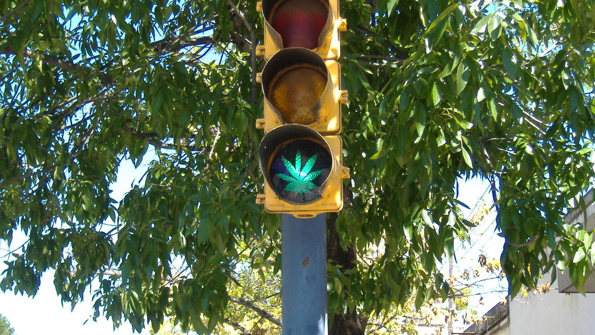 Marihuana_en_semáforo