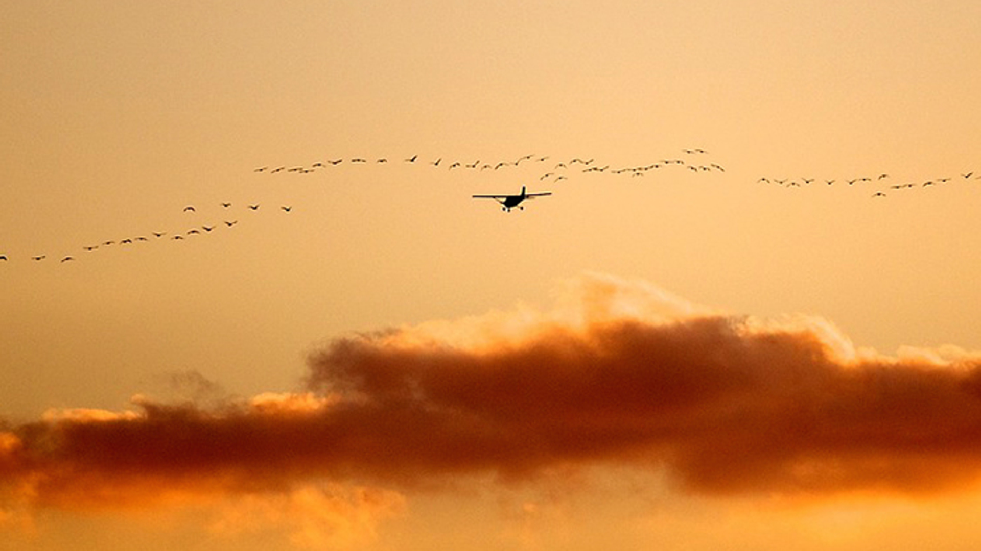 lelystad-airport