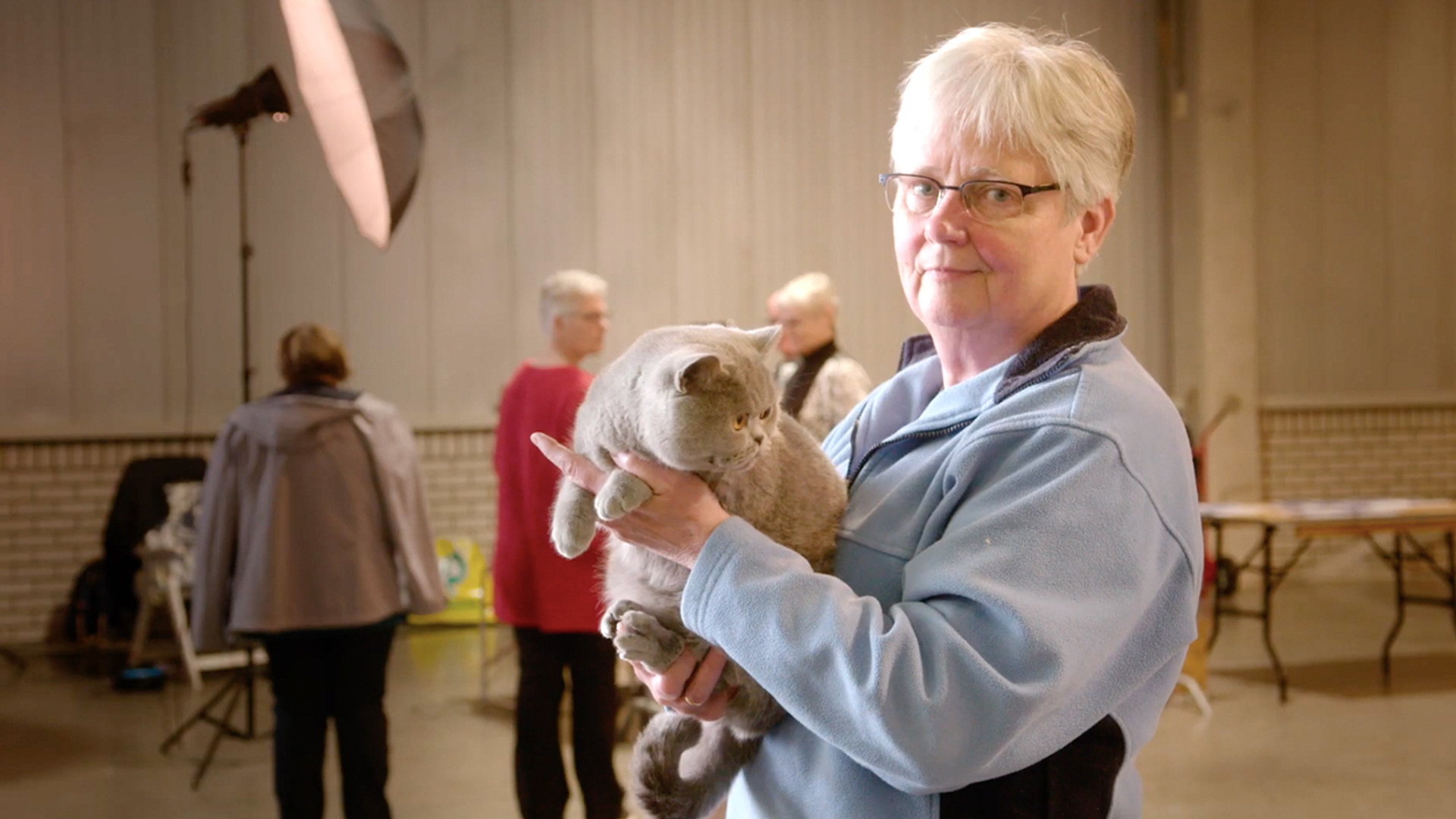 Cat Stories: waarom we gek zijn op katten 1