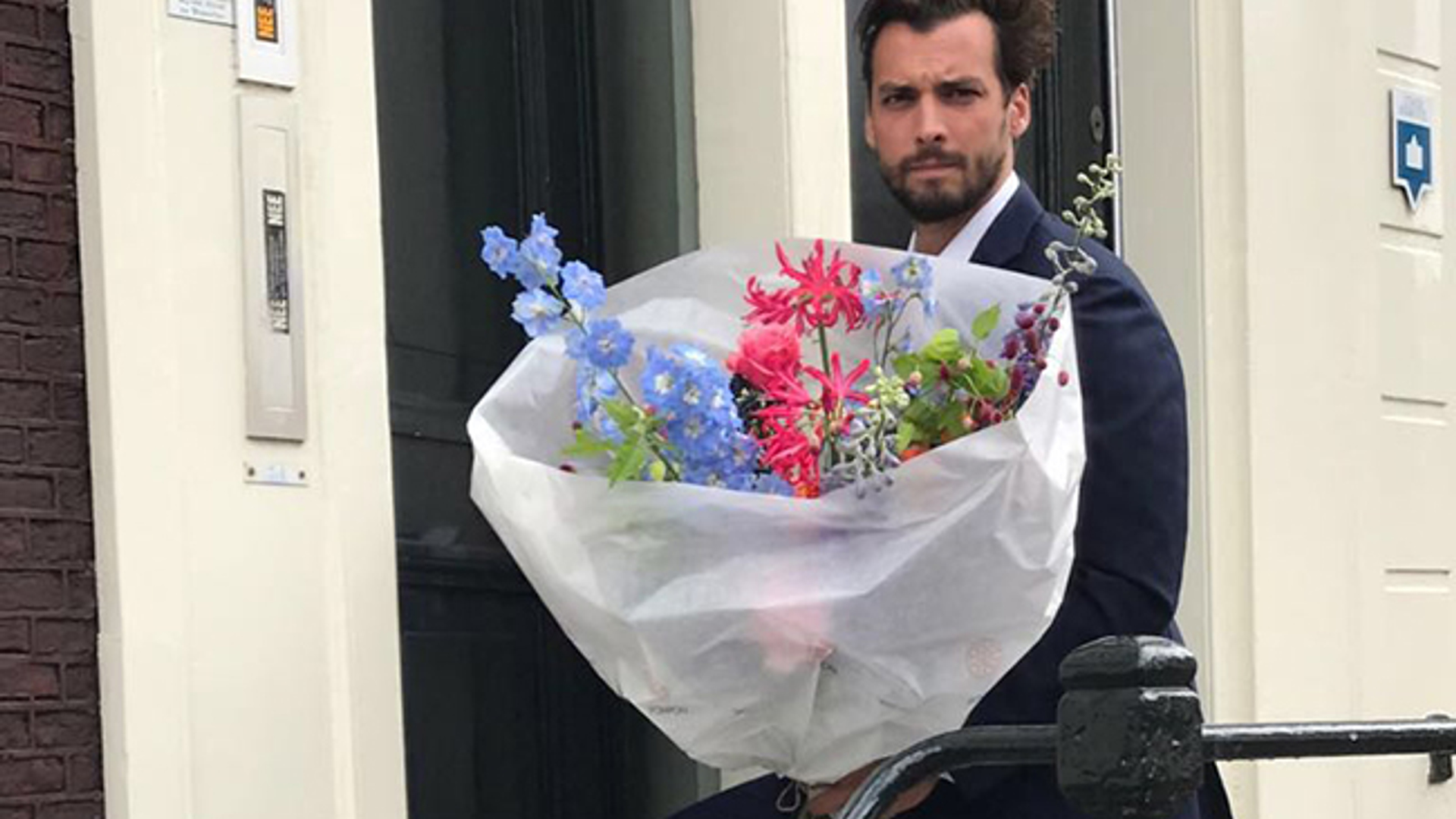 baudet