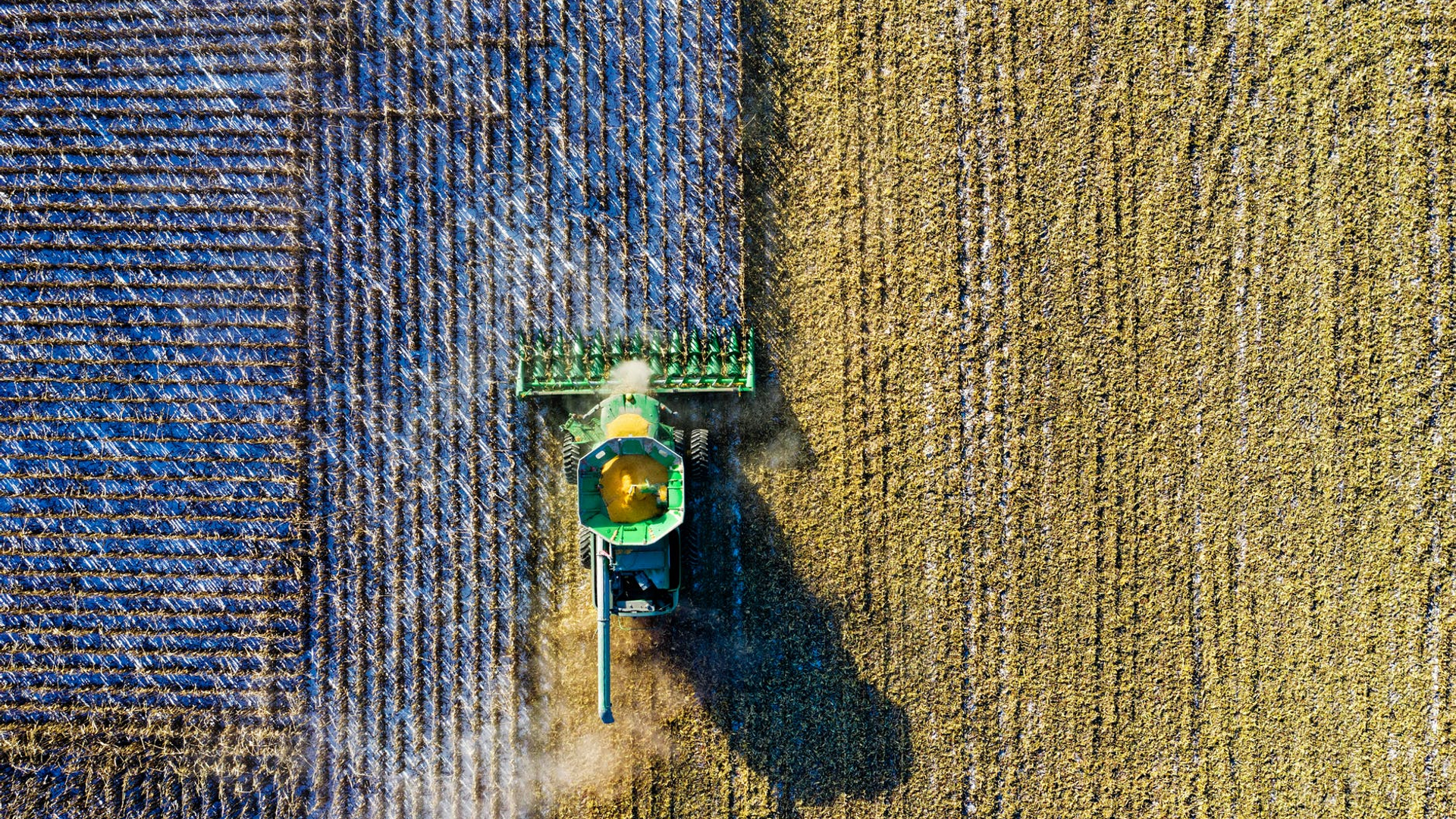 Boeren protest stikstof