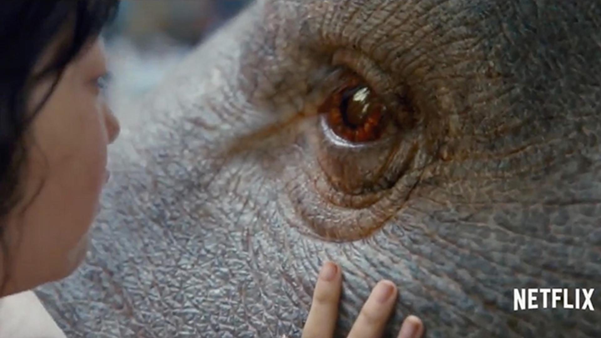 okja