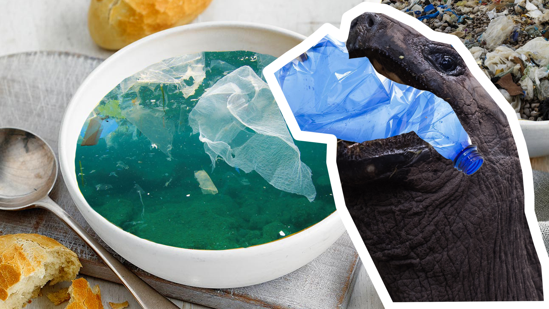PlasticSoup