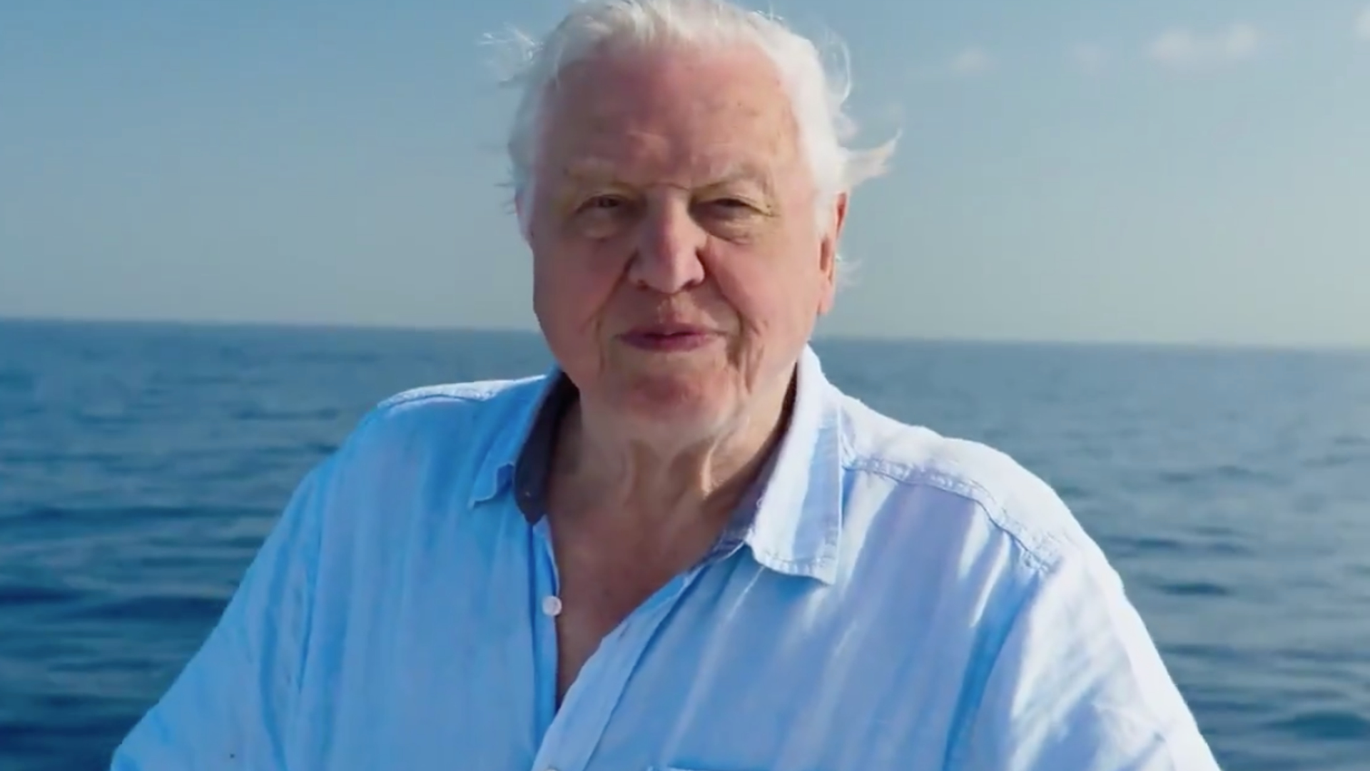 Sir David Attenborough