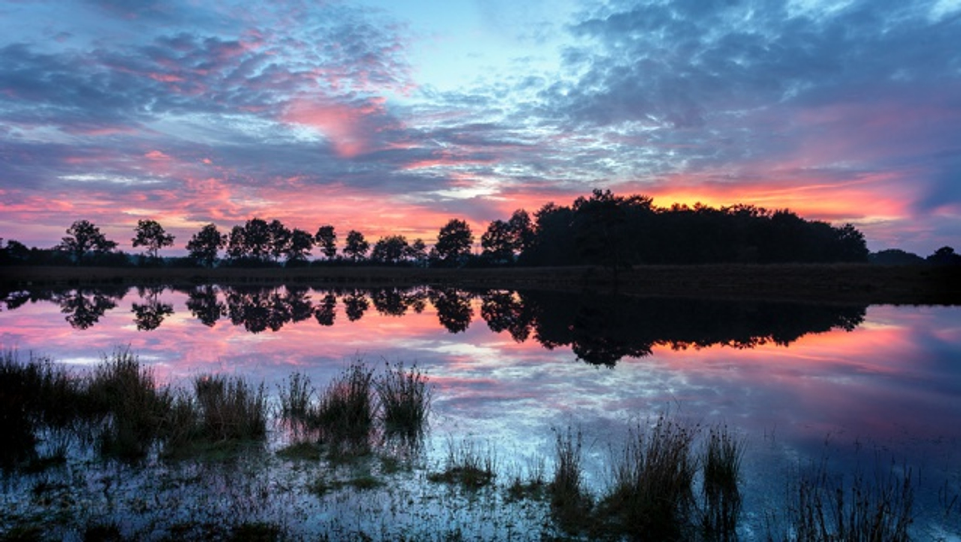 Zonsondergang Allardsoog