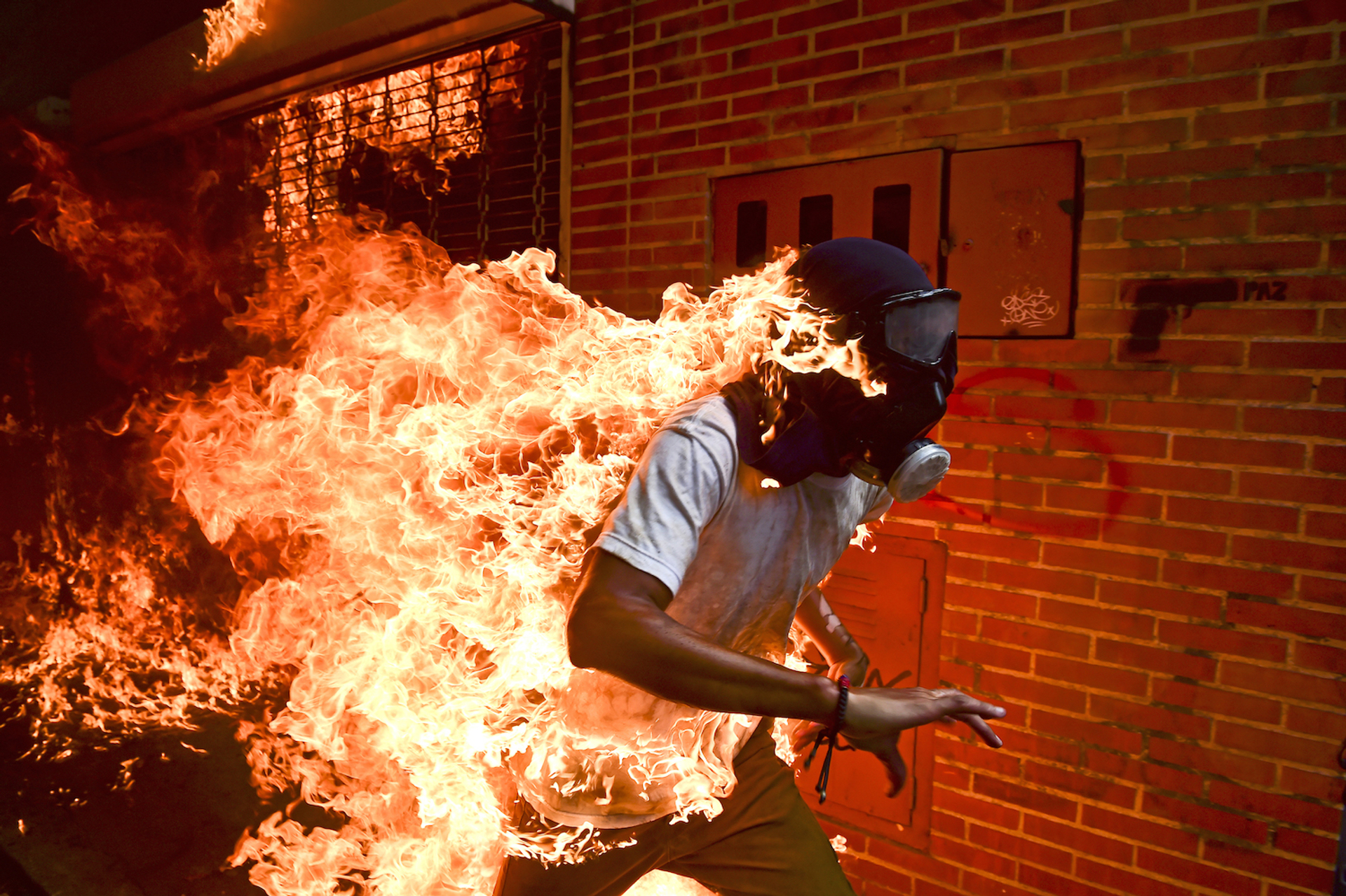 Afbeelding van Zes indrukwekkende nominaties voor de World Press Photo