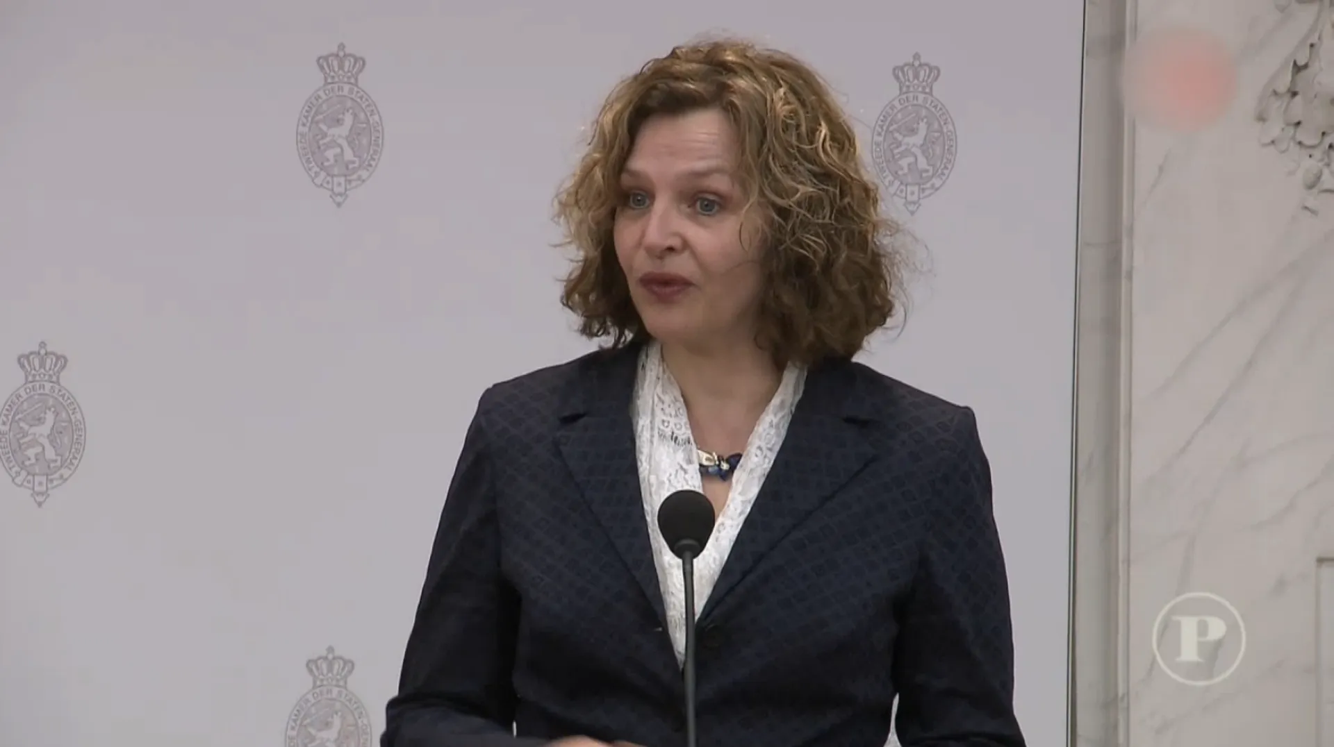 Xander van der Wulp: "Edith Schippers wordt informateur" - Pauw - BNNVARA