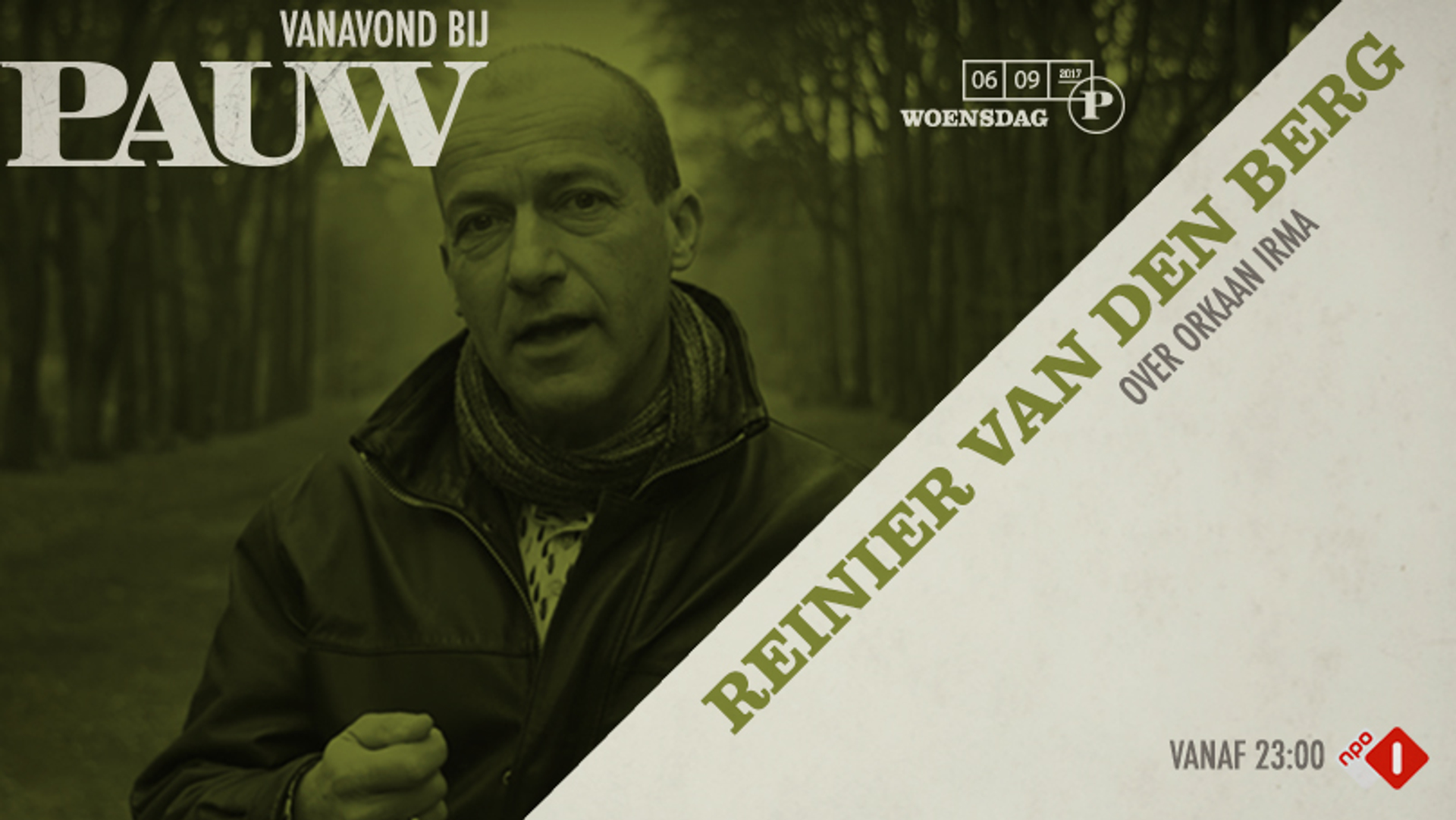 reinier van den berg irma