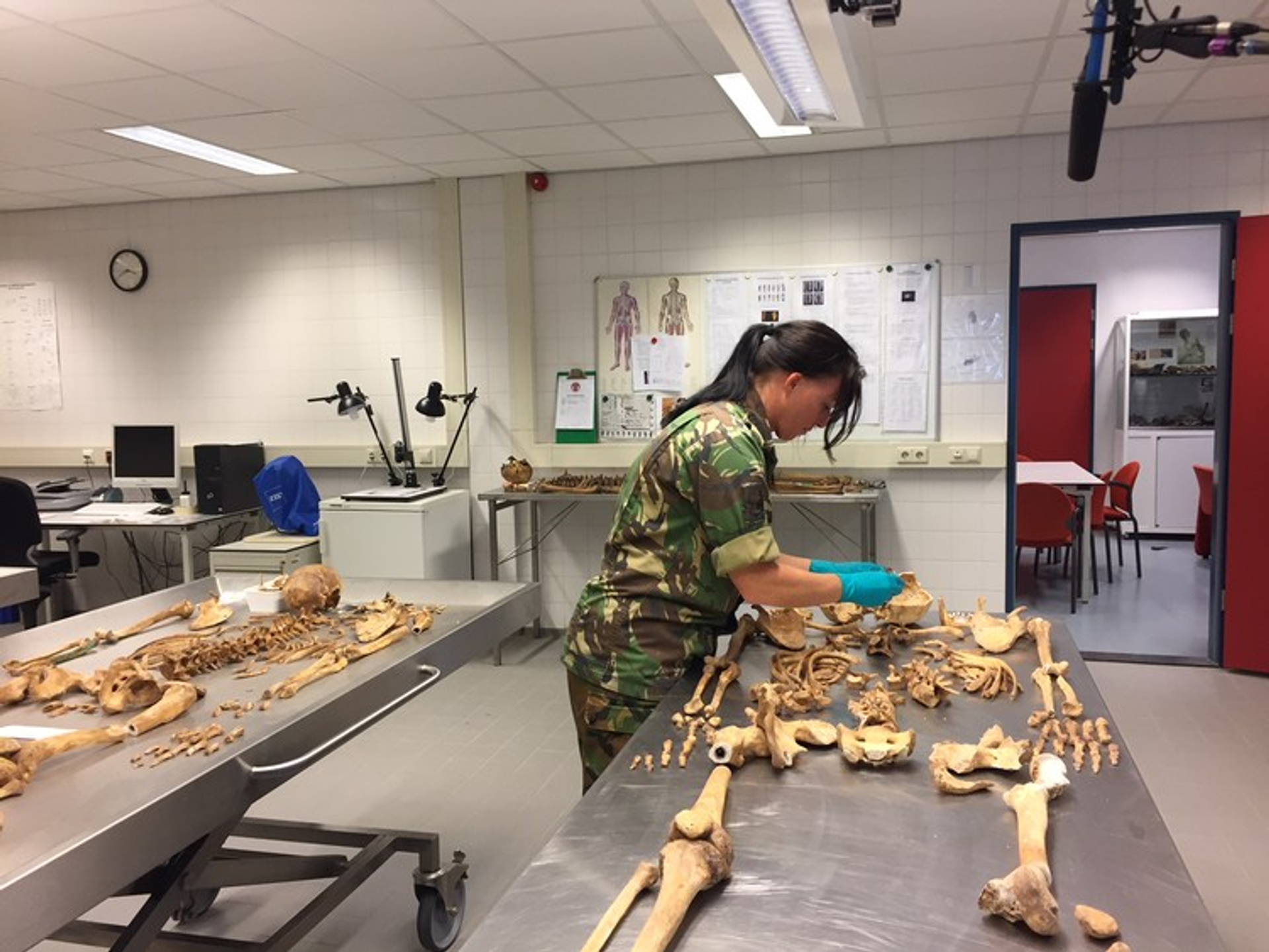 Andere Tijden, botten