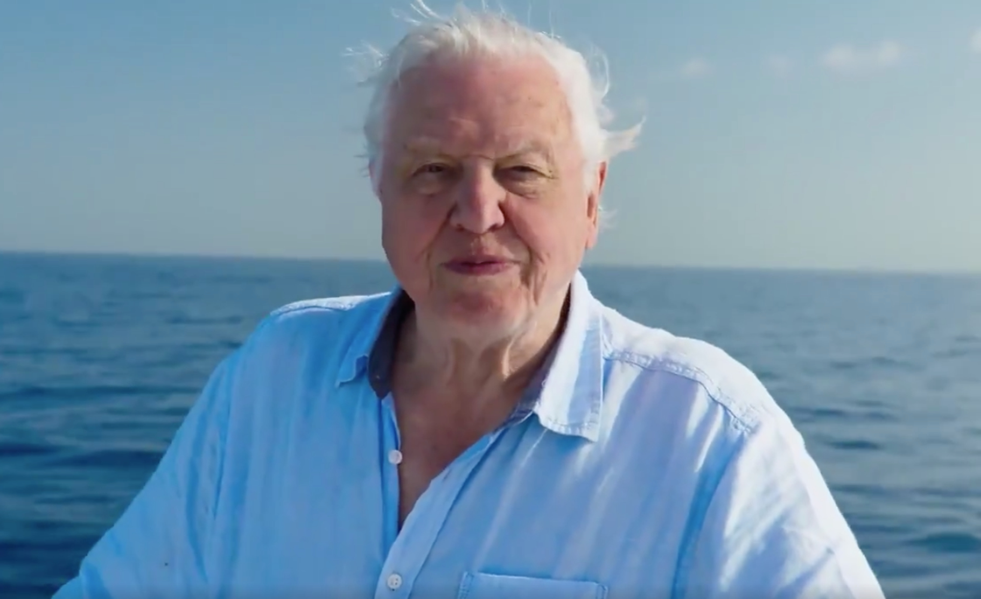 Afbeelding van Haal diep adem en duik mee met Sir David Attenborough