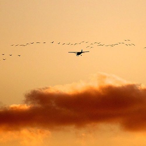 Red de Veluwe: protest tegen Lelystad Airport zwelt aan