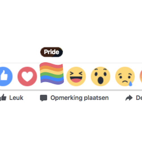 De ironie van de regenbooglike op Facebook