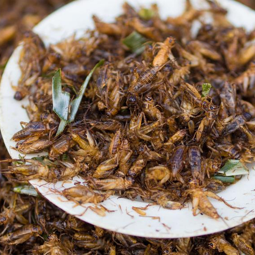 Duurzame maar 'walgelijke' producten worden aantrekkelijker in een tweede taal