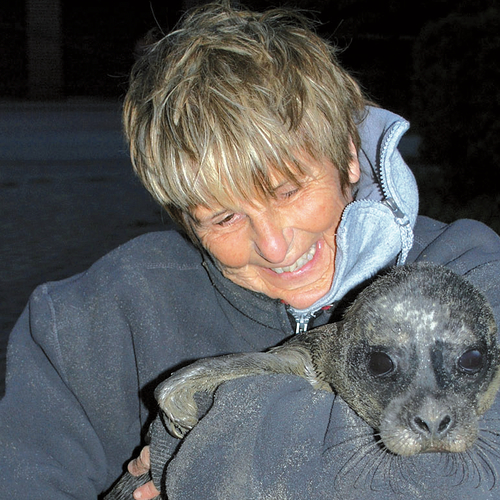 Lenie 't Hart over haar nieuwe boek 'Zo onafhankelijk als een zeehond'