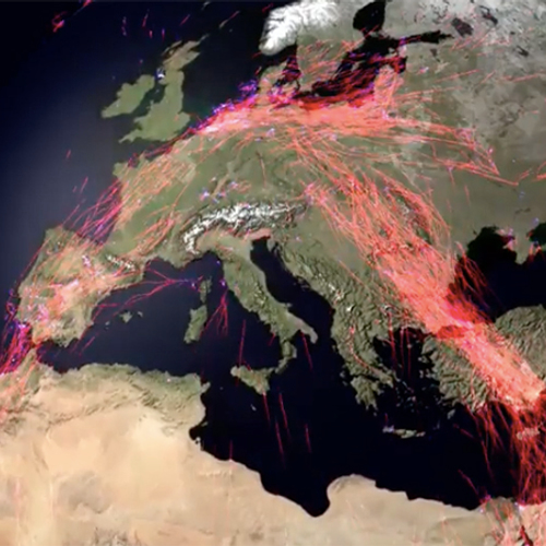 Hoe dieren wereldwijd migreren – in éen unieke video